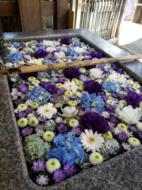 高円寺氷川神社の手水舎