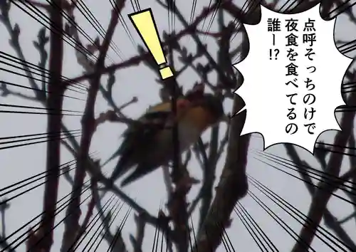 留辺蘂神社の動物