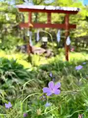 山の神神社(長野県)