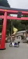 中之嶽神社の鳥居