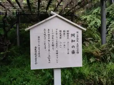 阿智神社の歴史