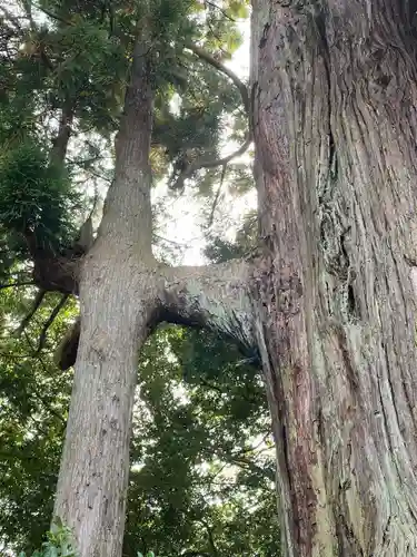 熊野那智神社(宮城県)