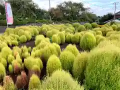 比々多神社の周辺