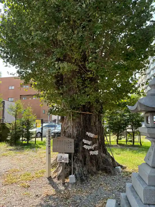 金山神社(愛知県)