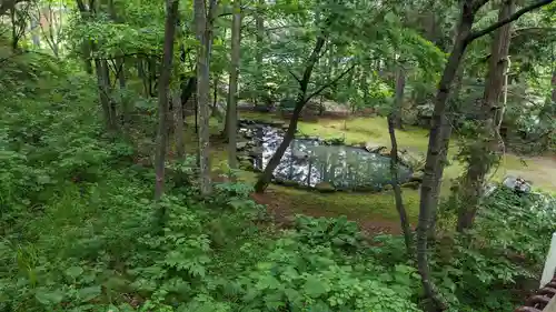 音更神社の自然