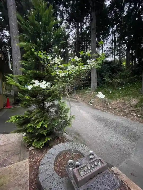 国上寺(新潟県)