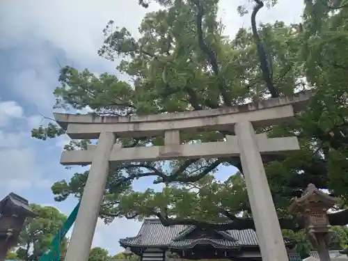 百舌鳥八幡宮(大阪府)