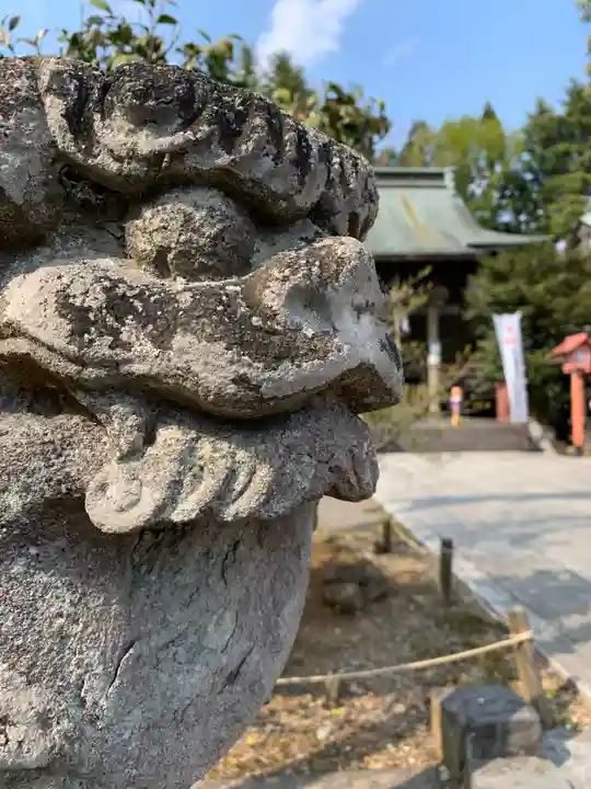 今市報徳二宮神社の狛犬