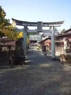 沙沙貴神社の鳥居