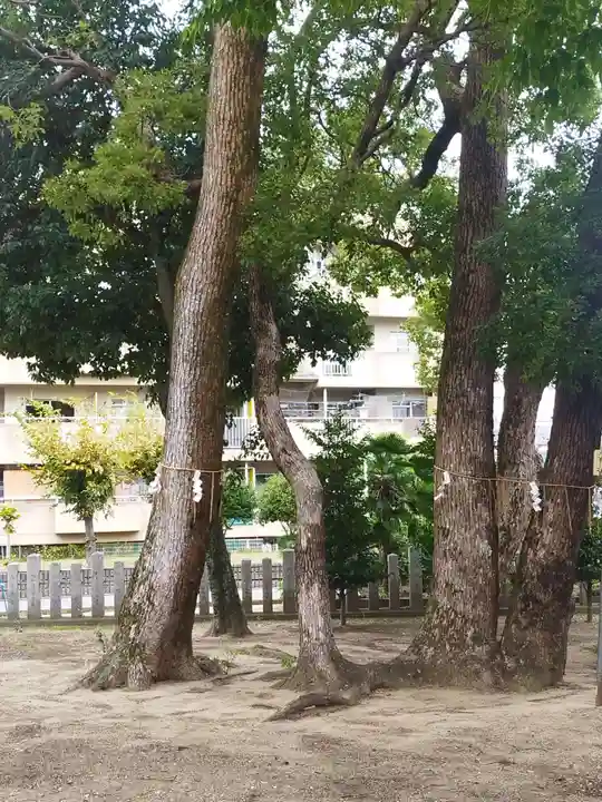 大利神社(大阪府)