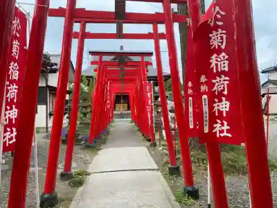 於菊稲荷神社(群馬県)