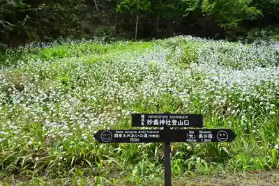 妙義神社(群馬県)