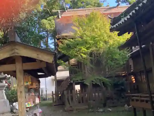 厳原八幡宮神社の本殿・本堂