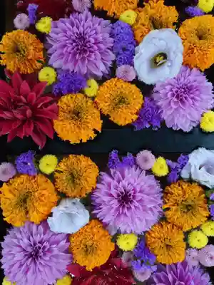 金峯神社(新潟県)