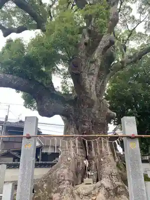 須賀神社(福岡県)