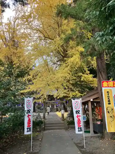 下野 星宮神社(栃木県)