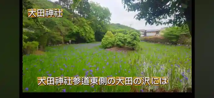 太田神社(京都府)