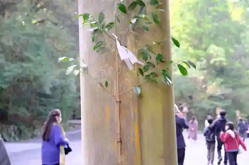 伊勢神宮内宮（皇大神宮）(三重県)