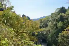 高龍神社(新潟県)