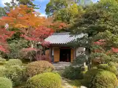 隨心院（随心院）(京都府)