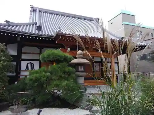 誓安寺の本殿・本堂