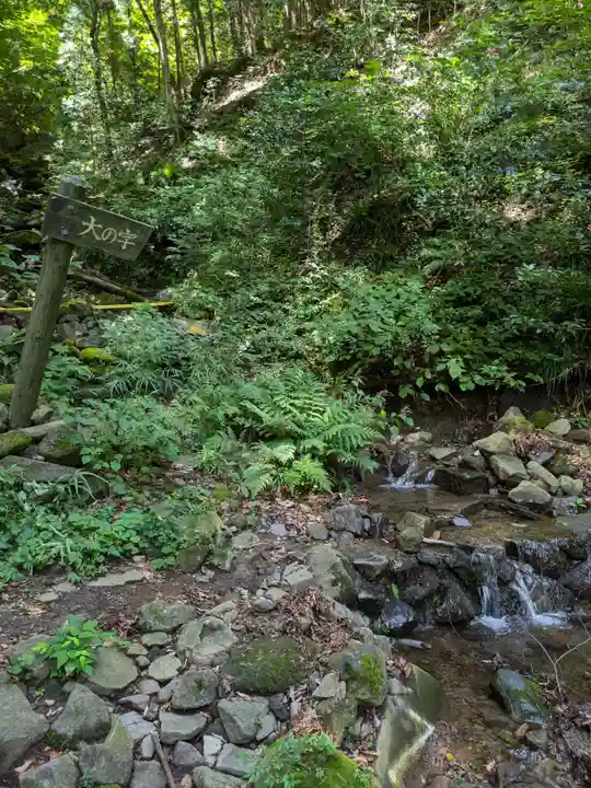 妙義神社 奥の院の自然