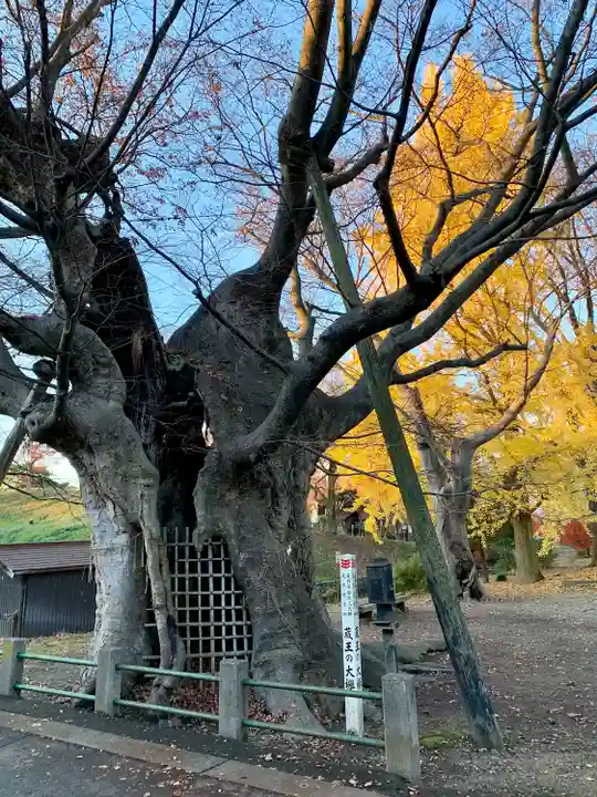 金峯神社(新潟県)