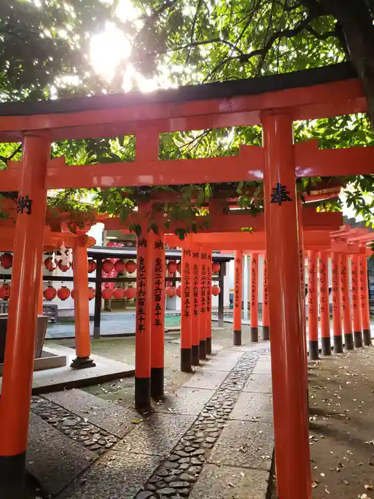 豊栄稲荷神社の鳥居
