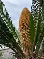 安用寺(愛知県)