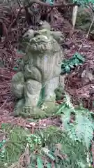 白山比咩神社の狛犬