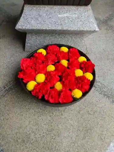 徳星寺の手水舎