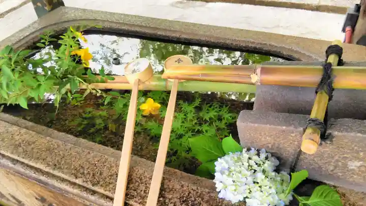 真正極楽寺(真如堂)の手水舎