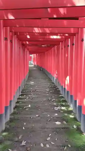 清洲山王宮　日吉神社の鳥居