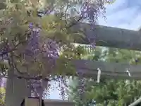 國領神社の自然