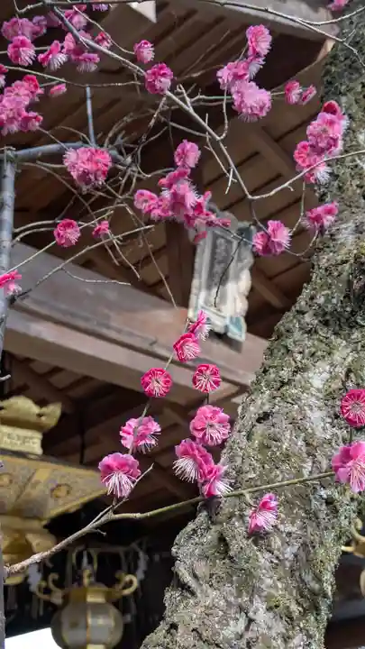 霊光殿天満宮(京都府)