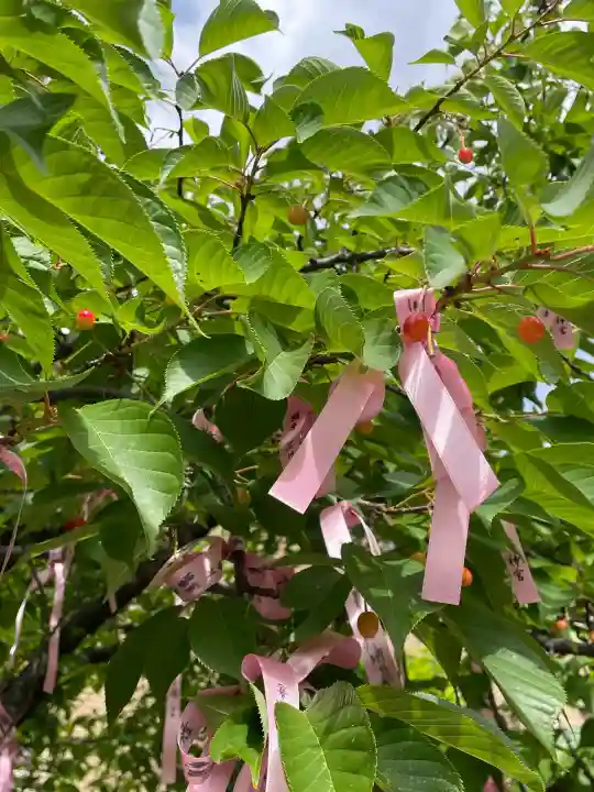 桜神宮(東京都)