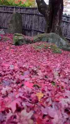 教林坊の{uncategorized: "未分類", other: "その他", undefined: "問題あり", building: "その他建物", grave: "お墓", sacred_gate: "鳥居", guardian: "狛犬", statue: "像", buddha: "仏像", history: "歴史", nature: "自然", garden: "庭園", animal: "動物", pagoda: "塔", temizu: "手水舎", mountain_gate: "山門・神門", sanctuary: "本殿・本堂", subordinate: "末社・摂社", art: "芸術", scenery: "景色", jizo: "地蔵", ema: "絵馬", goshuin: "御朱印", omikuji: "おみくじ", items: "授与品その他", amulet: "お守り", goshuincho: "御朱印帳", eats: "食事", festival: "お祭り", votive_dance: "神楽", shichigosan: "七五三参", wedding: "結婚式", experience: "体験その他", initially: "初詣", around: "周辺", anti_infection: "感染症対策"}