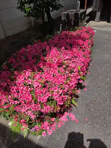 梅島天満宮(東京都)