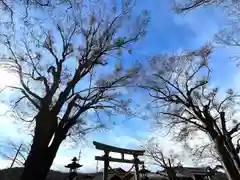 白鳥神社の鳥居