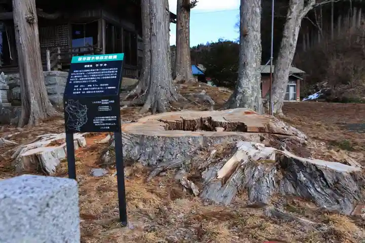 三坂稲荷神社の自然