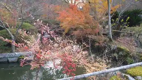 観心寺(大阪府)