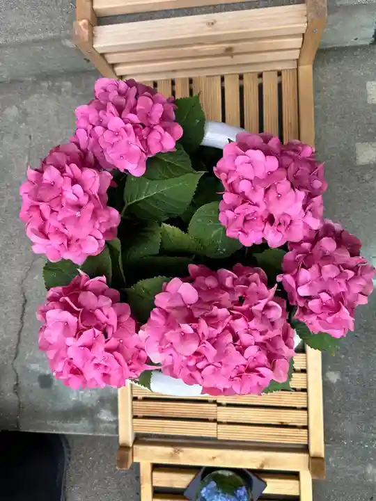 徳島眉山天神社(徳島県)