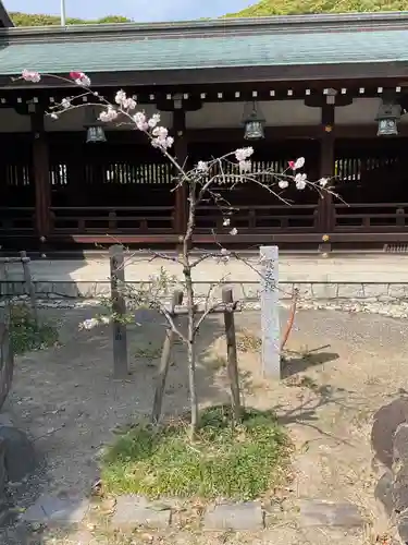 真清田神社(愛知県)