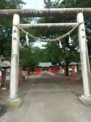 金井神社の鳥居