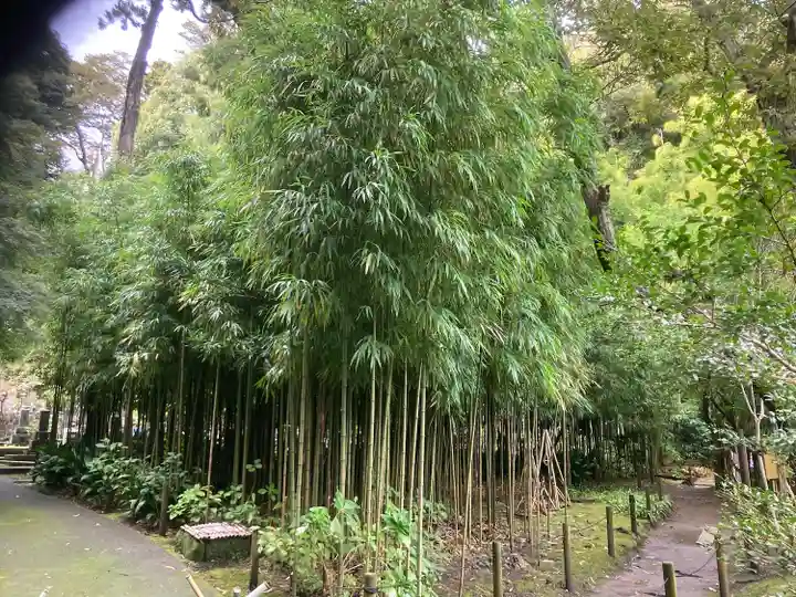 浄智寺(神奈川県)