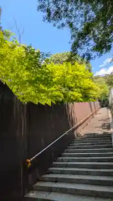 知恩院(京都府)