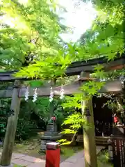 赤坂氷川神社(東京都)