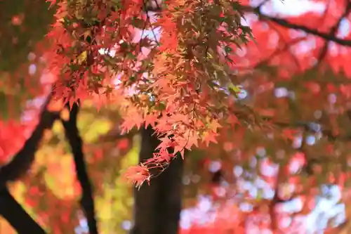 神炊館神社 ⁂奥州須賀川総鎮守⁂の庭園