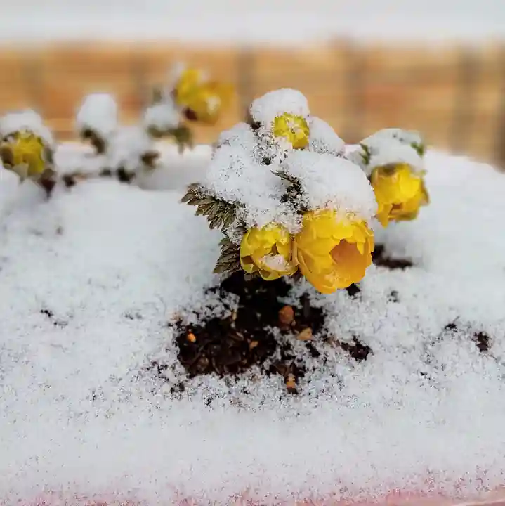 阿邪訶根神社の自然