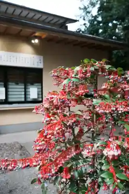赤坂氷川神社(東京都)